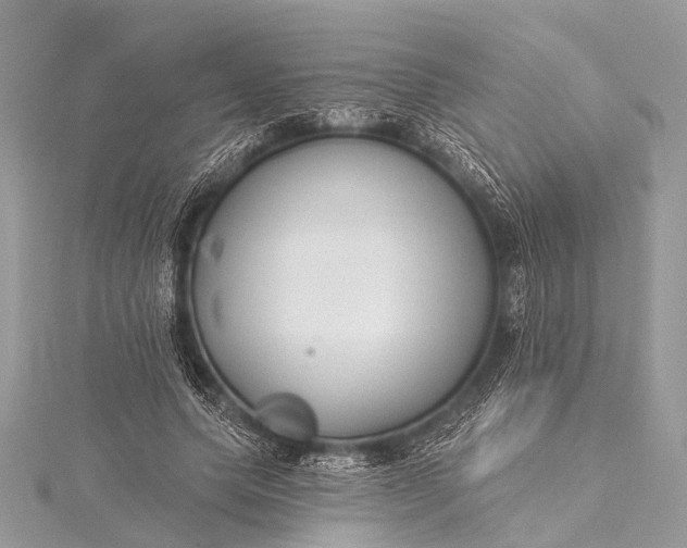 X0000115530639200911201720