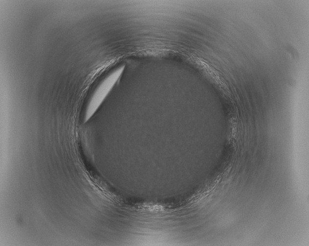 X0000115530640200911201720