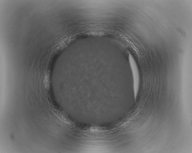 X0000115530641200911201720