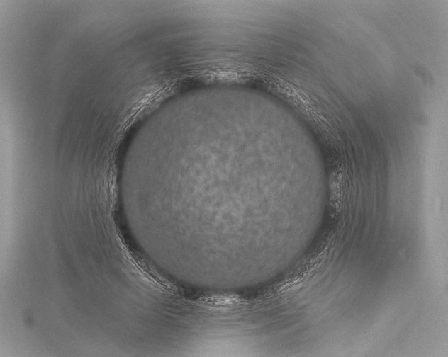 X0000115530642200911201720