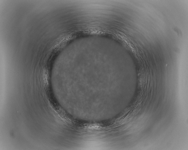 X0000115530643200911201720