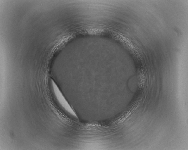 X0000115530644200911201720