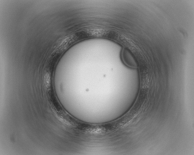 X0000115530646200911201720