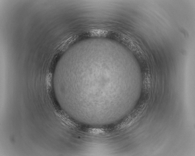 X0000115530649200911201720