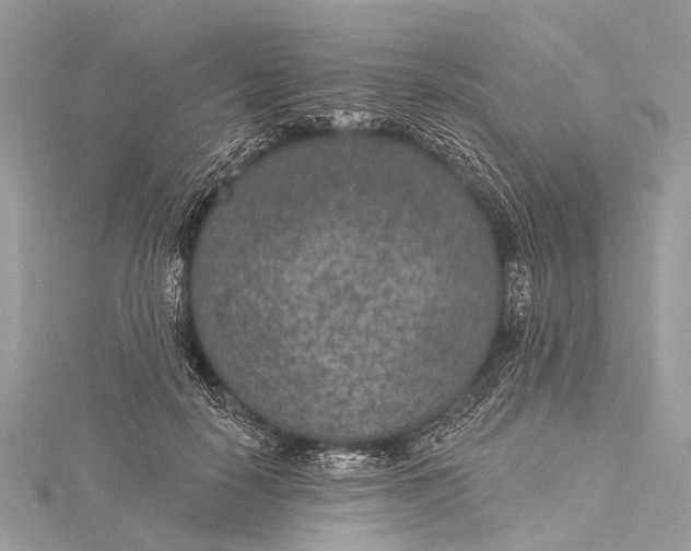 X0000115530650200911201720