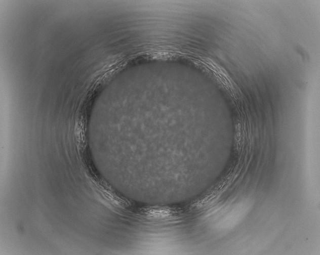 X0000115530653200911201720