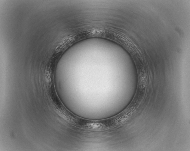 X0000115530654200911201720