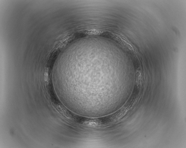 X0000115530655200911201720