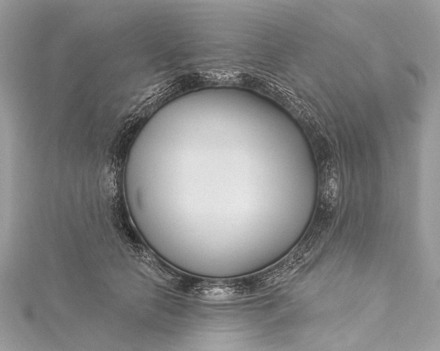 X0000115530658200911201720