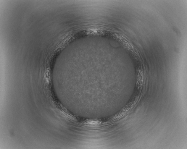 X0000115530659200911201720