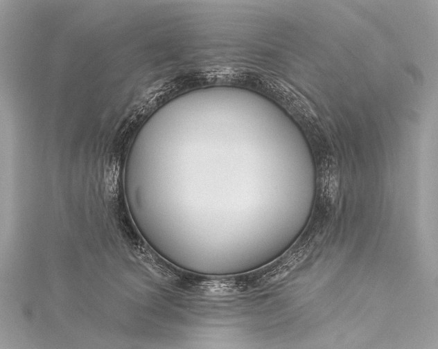 X0000115530660200911201721