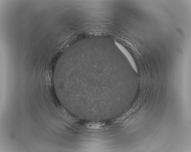 X0000115530661200911201721