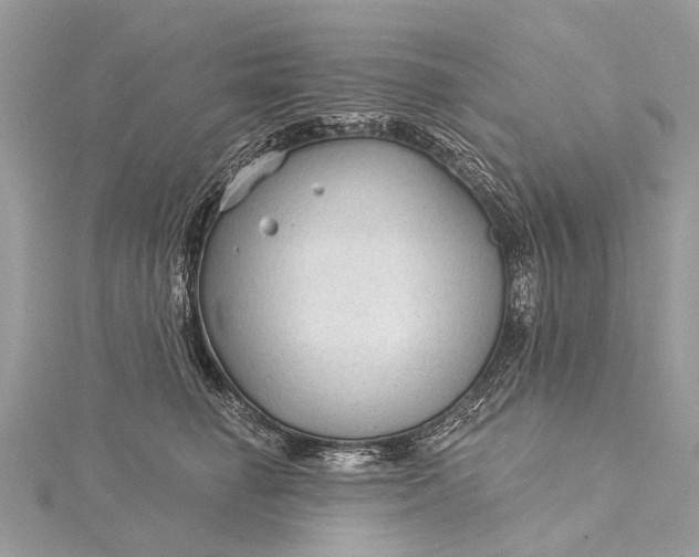 X0000115530662200911201721