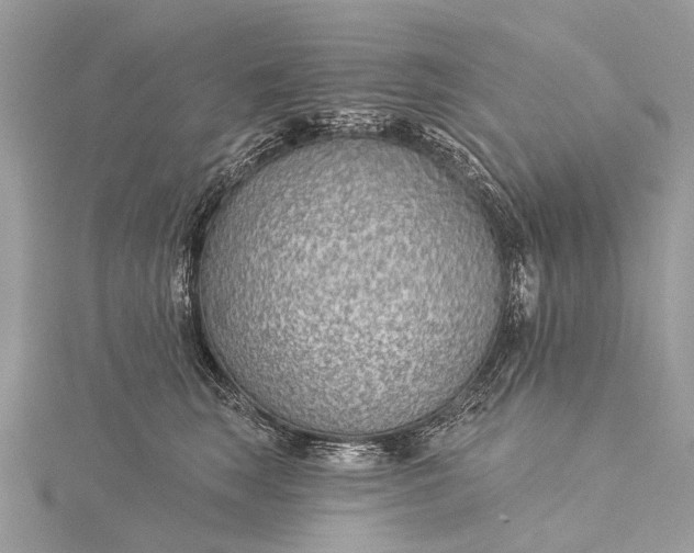 X0000115530663200911201721