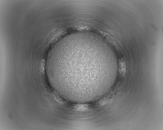 X0000115530664200911201721