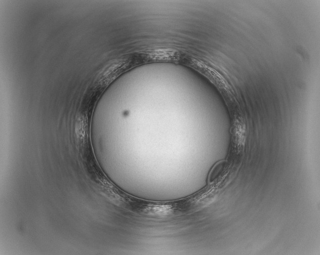 X0000115530665200911201721