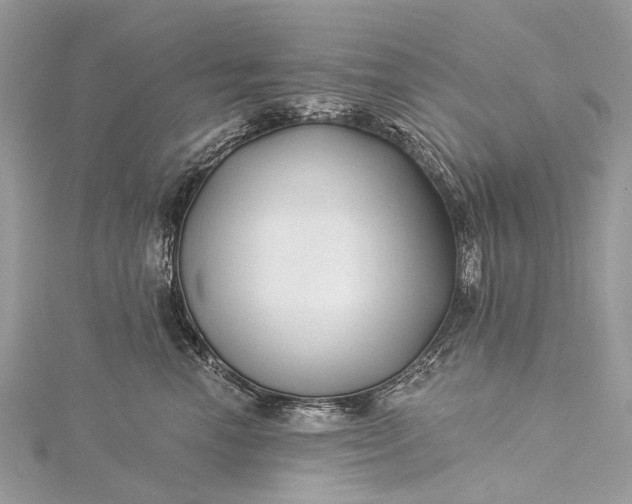 X0000115530666200911201721