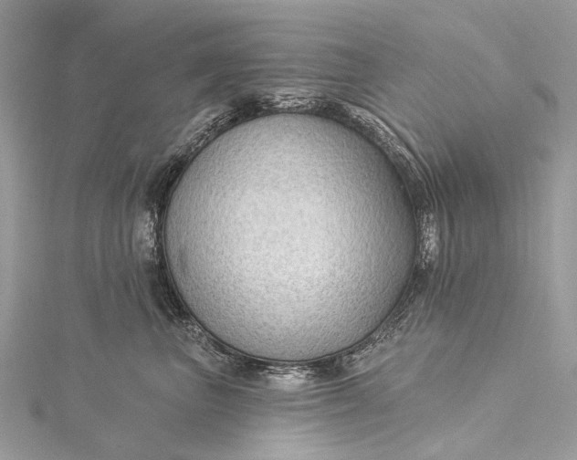 X0000115530667200911201721