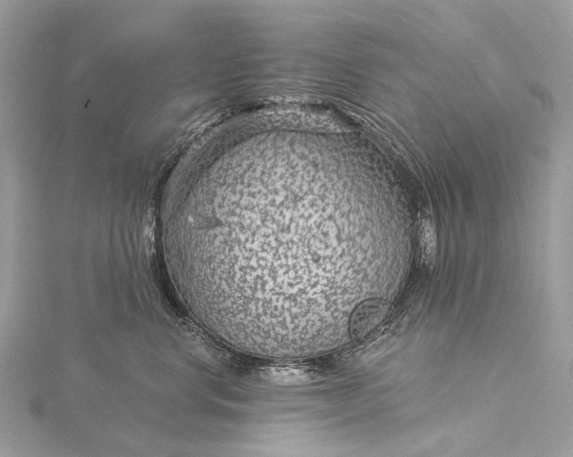 X0000115530668200911201721