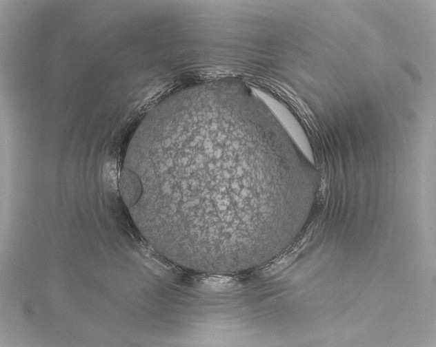 X0000115530669200911201721