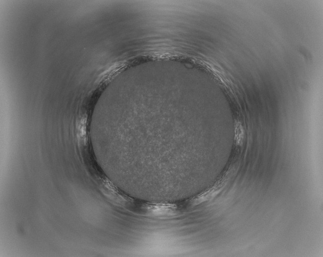 X0000115530670200911201721