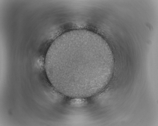 X0000115530672200911201721