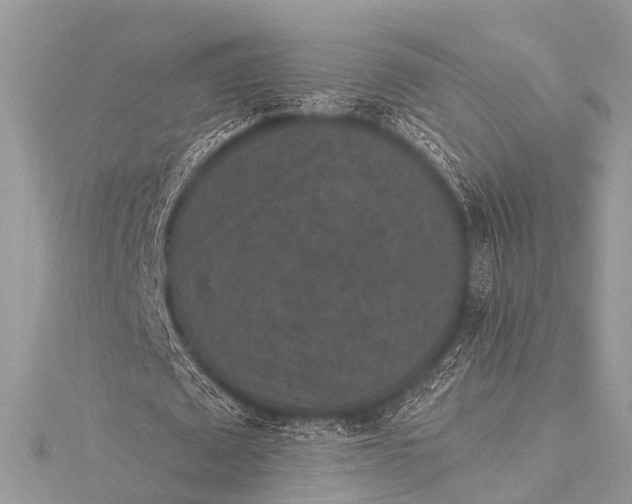 X0000115530673200911201720