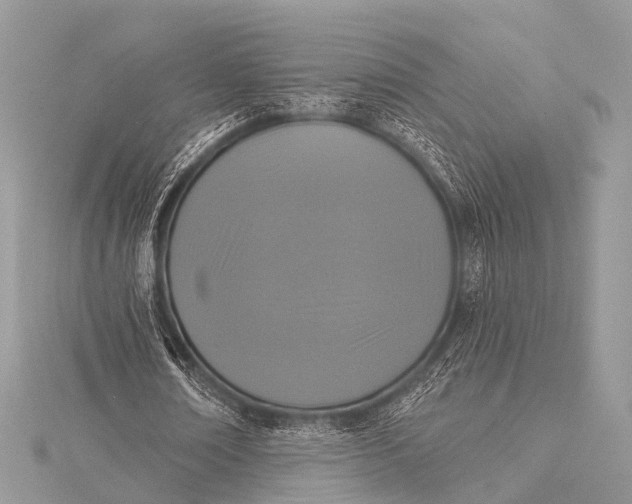 X0000115530674200911201720