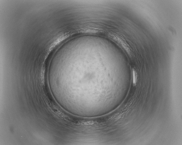 X0000115530675200911201720