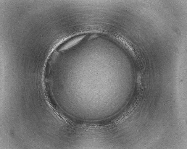 X0000115530676200911201720