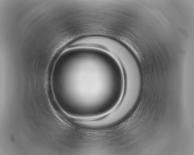 X0000115530677200911201720