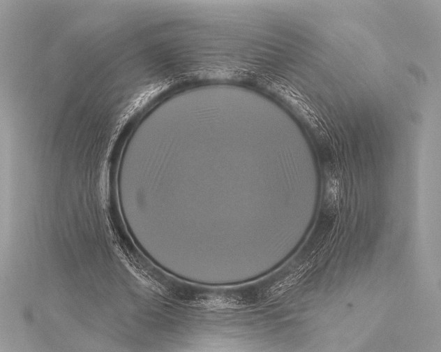 X0000115530678200911201720