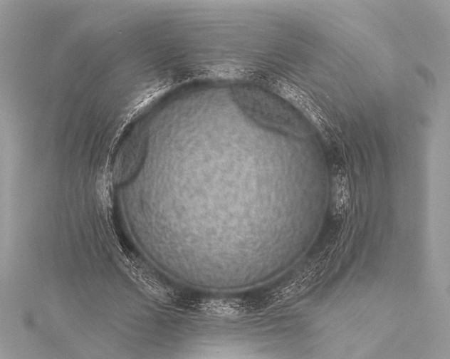 X0000115530680200911201720