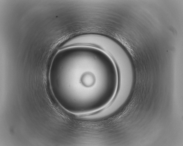 X0000115530681200911201720