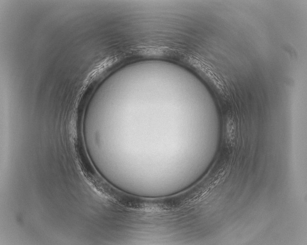 X0000115530682200911201720