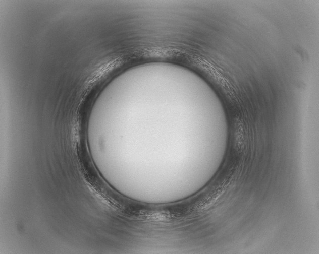 X0000115530683200911201720