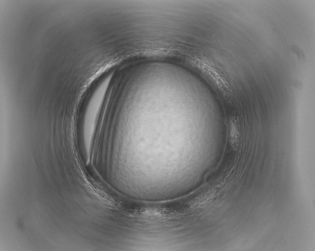 X0000115530684200911201720