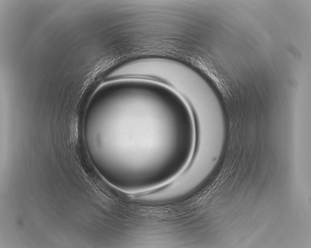 X0000115530685200911201720