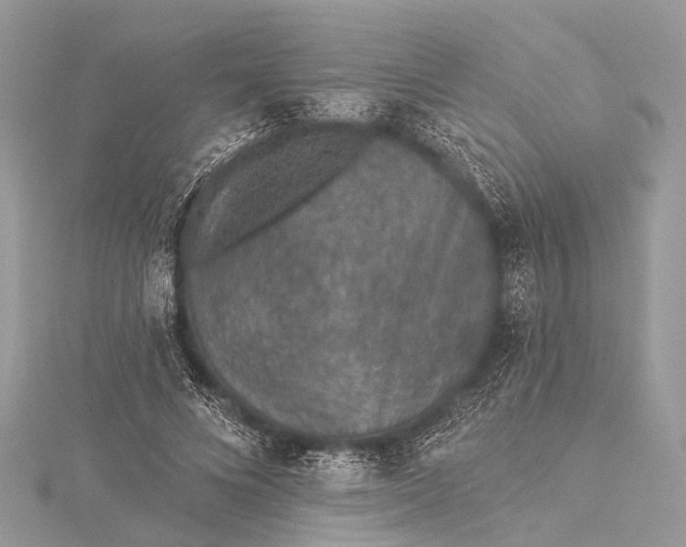 X0000115530688200911201720