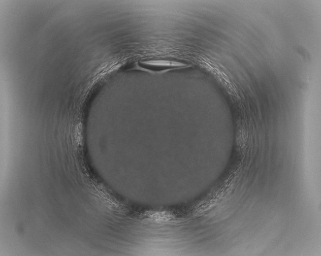 X0000115530689200911201720