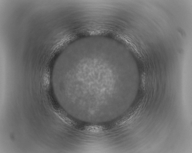 X0000115530691200911201720