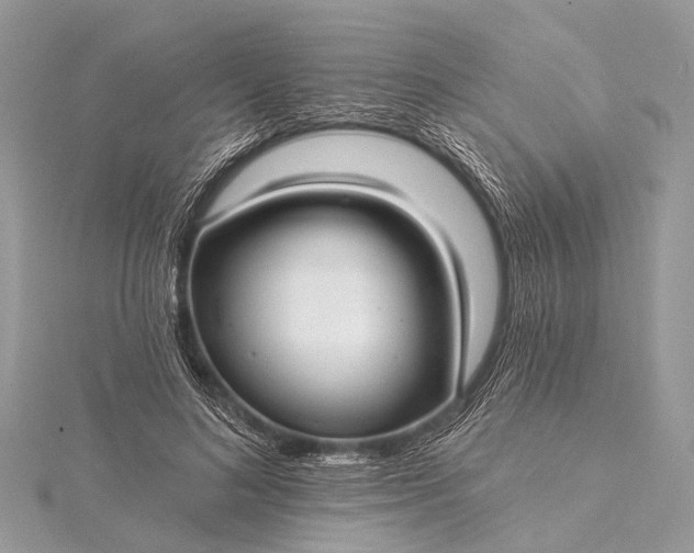 X0000115530692200911201720