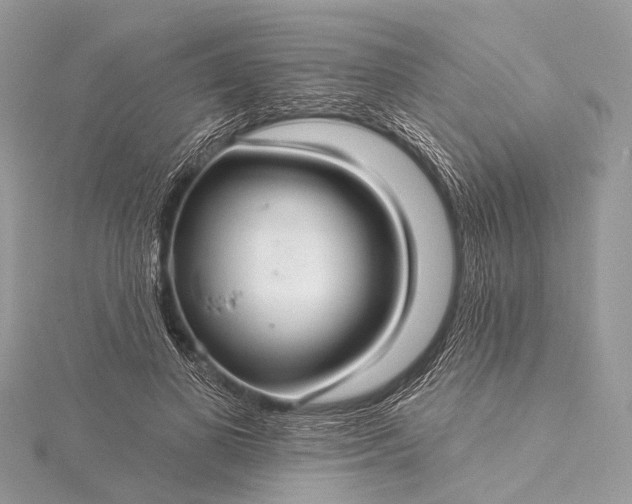 X0000115530693200911201720