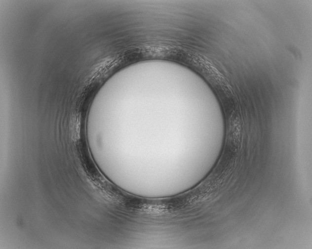 X0000115530694200911201720