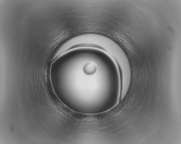 X0000115530696200911201720