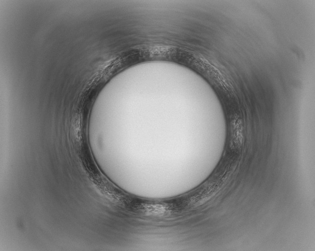 X0000115530698200911201720