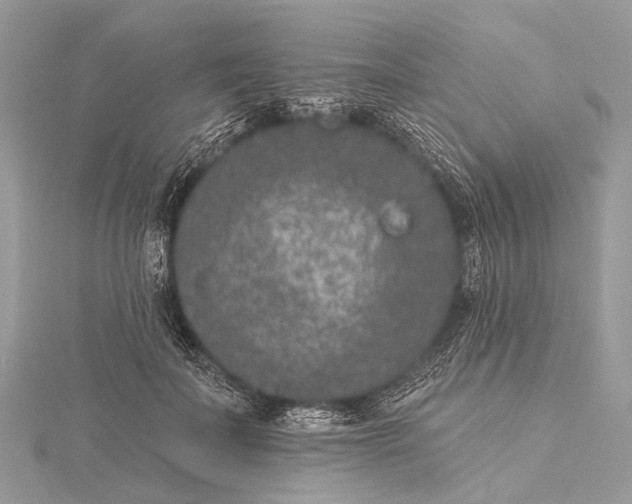 X0000115530699200911201720