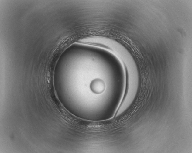 X0000115530701200911201720