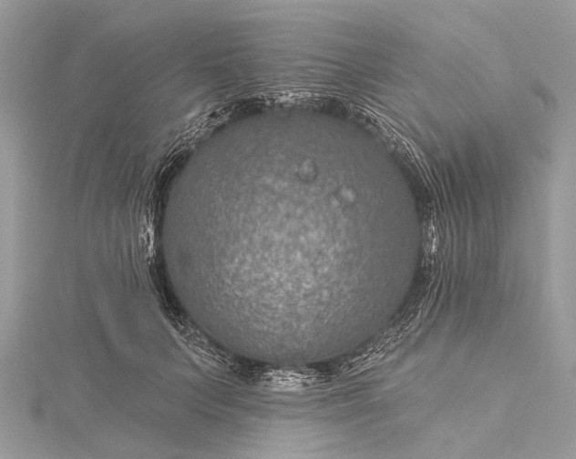 X0000115530703200911201720