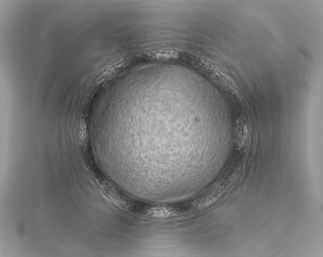 X0000115530704200911201720